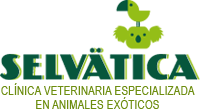 Clinica Veterinaria Selvatica