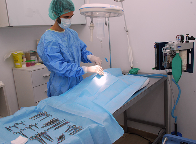 Clinica Veterinaria Exoticos Valencia