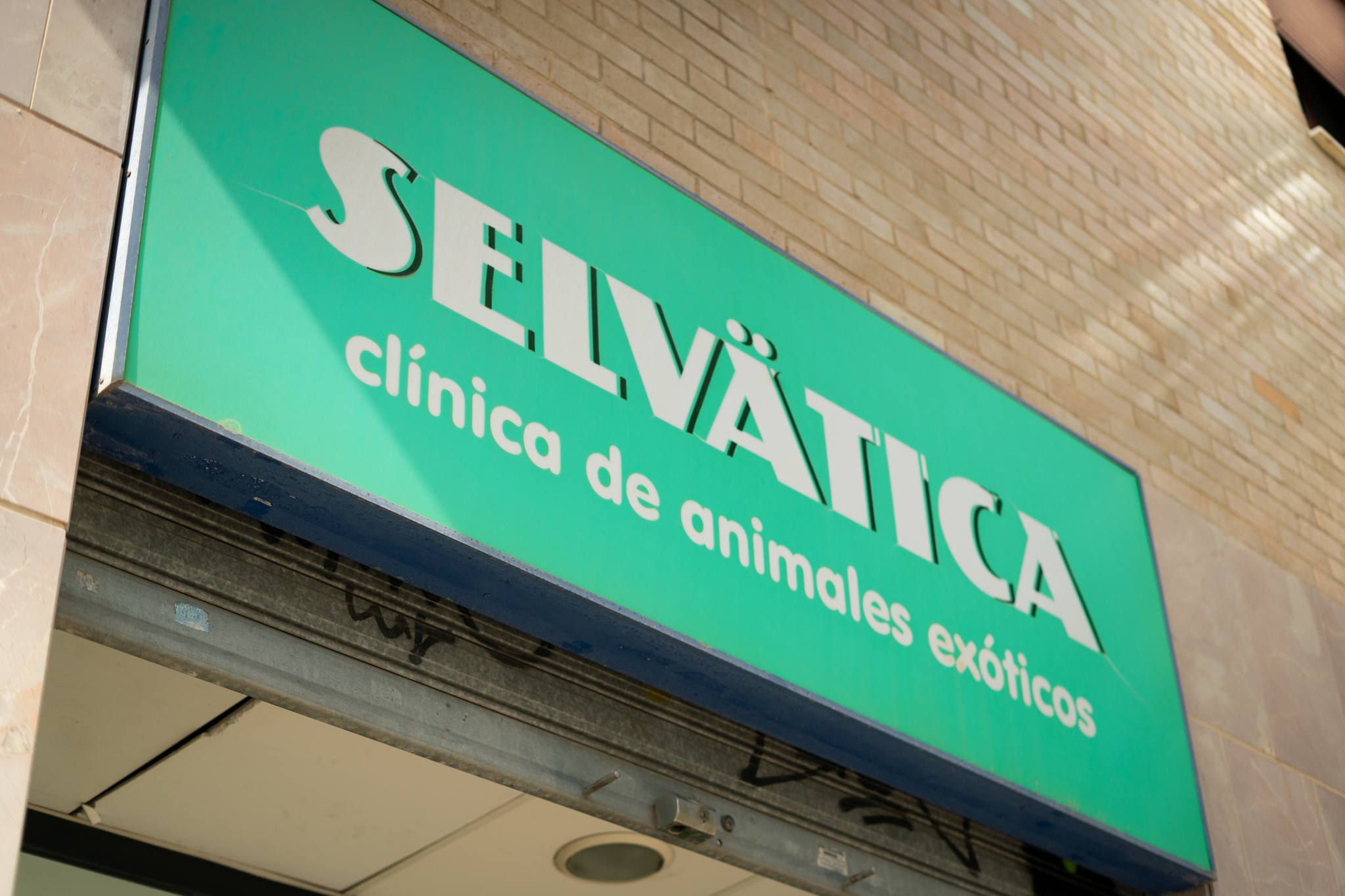 Clinica Veterinaria Animales Exoticos Valencia