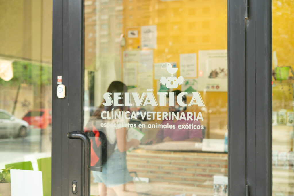 Clinica Veterinaria Animales Exoticos Valencia