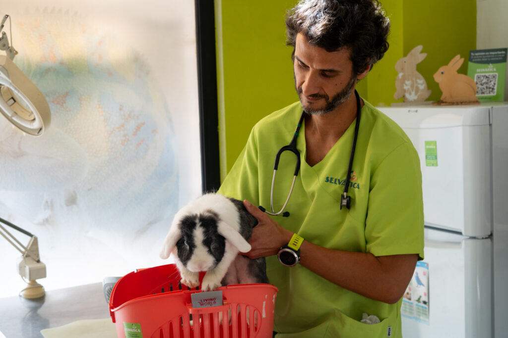 Remision de casos veterinarios animales exoticos Valencia